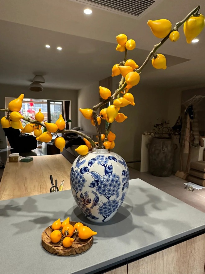 "Cây tài lộc" ít người biết: Quả vàng óng 5 múi, chưng Tết 2026 mang ý nghĩa "ngũ phúc lâm môn", tiền vào như nước- Ảnh 48. "Cây tài lộc" ít người biết: Quả vàng óng 5 múi, chưng Tết 2026 mang ý nghĩa "ngũ phúc lâm môn", tiền vào như nước- Ảnh 48.