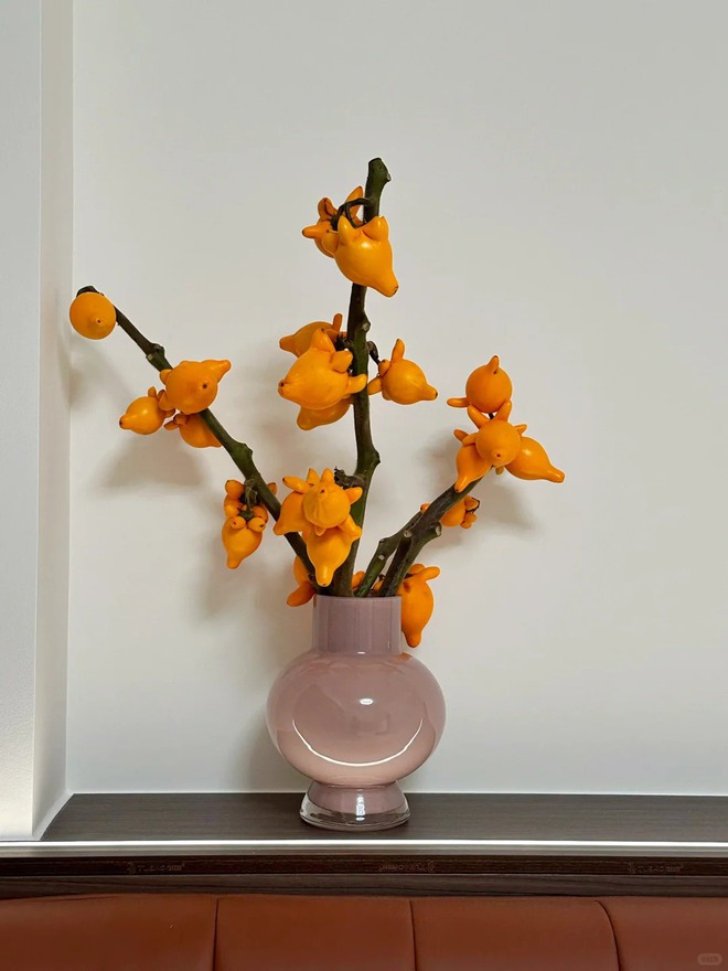 "Cây tài lộc" ít người biết: Quả vàng óng 5 múi, chưng Tết 2026 mang ý nghĩa "ngũ phúc lâm môn", tiền vào như nước- Ảnh 24. "Cây tài lộc" ít người biết: Quả vàng óng 5 múi, chưng Tết 2026 mang ý nghĩa "ngũ phúc lâm môn", tiền vào như nước- Ảnh 24.