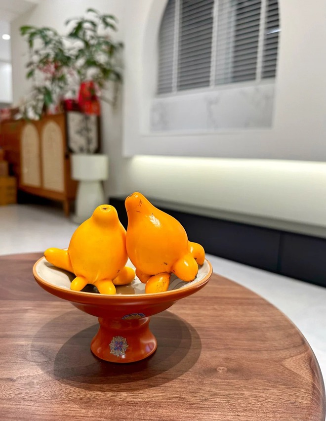 "Cây tài lộc" ít người biết: Quả vàng óng 5 múi, chưng Tết 2026 mang ý nghĩa "ngũ phúc lâm môn", tiền vào như nước- Ảnh 25. "Cây tài lộc" ít người biết: Quả vàng óng 5 múi, chưng Tết 2026 mang ý nghĩa "ngũ phúc lâm môn", tiền vào như nước- Ảnh 25.