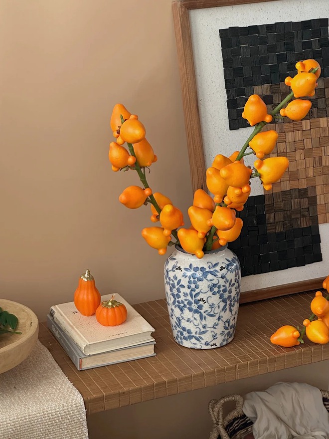 "Cây tài lộc" ít người biết: Quả vàng óng 5 múi, chưng Tết 2026 mang ý nghĩa "ngũ phúc lâm môn", tiền vào như nước- Ảnh 14. "Cây tài lộc" ít người biết: Quả vàng óng 5 múi, chưng Tết 2026 mang ý nghĩa "ngũ phúc lâm môn", tiền vào như nước- Ảnh 14.