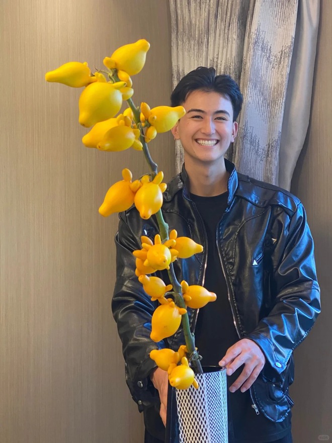 "Cây tài lộc" ít người biết: Quả vàng óng 5 múi, chưng Tết 2026 mang ý nghĩa "ngũ phúc lâm môn", tiền vào như nước- Ảnh 27. "Cây tài lộc" ít người biết: Quả vàng óng 5 múi, chưng Tết 2026 mang ý nghĩa "ngũ phúc lâm môn", tiền vào như nước- Ảnh 27.