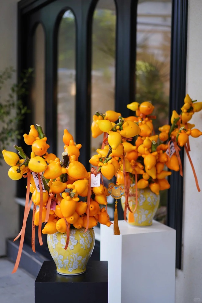 "Cây tài lộc" ít người biết: Quả vàng óng 5 múi, chưng Tết 2026 mang ý nghĩa "ngũ phúc lâm môn", tiền vào như nước- Ảnh 6. "Cây tài lộc" ít người biết: Quả vàng óng 5 múi, chưng Tết 2026 mang ý nghĩa "ngũ phúc lâm môn", tiền vào như nước- Ảnh 6.