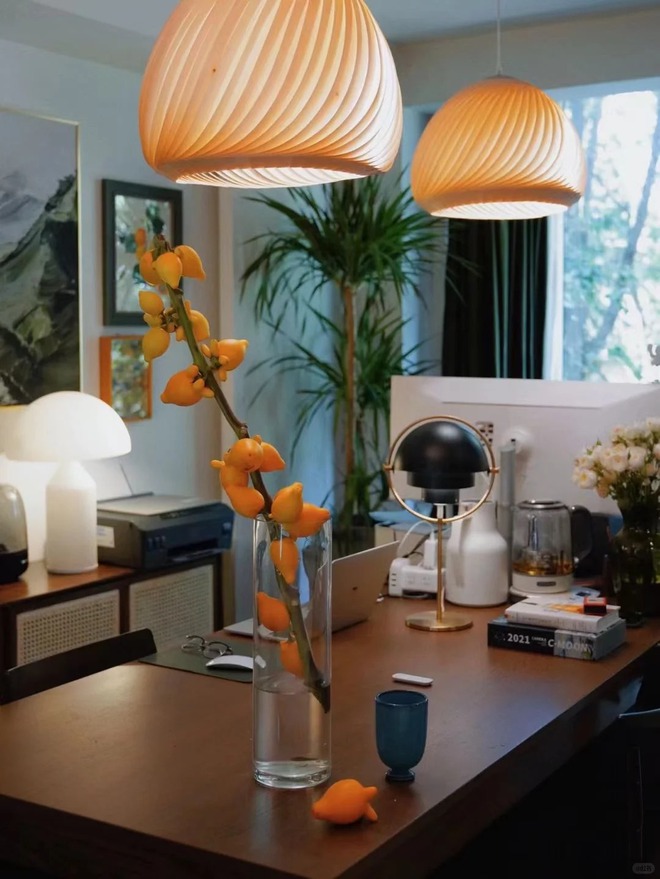 "Cây tài lộc" ít người biết: Quả vàng óng 5 múi, chưng Tết 2026 mang ý nghĩa "ngũ phúc lâm môn", tiền vào như nước- Ảnh 19. "Cây tài lộc" ít người biết: Quả vàng óng 5 múi, chưng Tết 2026 mang ý nghĩa "ngũ phúc lâm môn", tiền vào như nước- Ảnh 19.