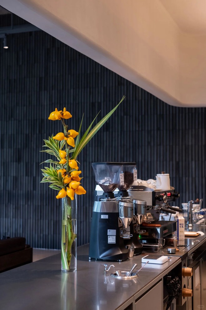 "Cây tài lộc" ít người biết: Quả vàng óng 5 múi, chưng Tết 2026 mang ý nghĩa "ngũ phúc lâm môn", tiền vào như nước- Ảnh 9. "Cây tài lộc" ít người biết: Quả vàng óng 5 múi, chưng Tết 2026 mang ý nghĩa "ngũ phúc lâm môn", tiền vào như nước- Ảnh 9.