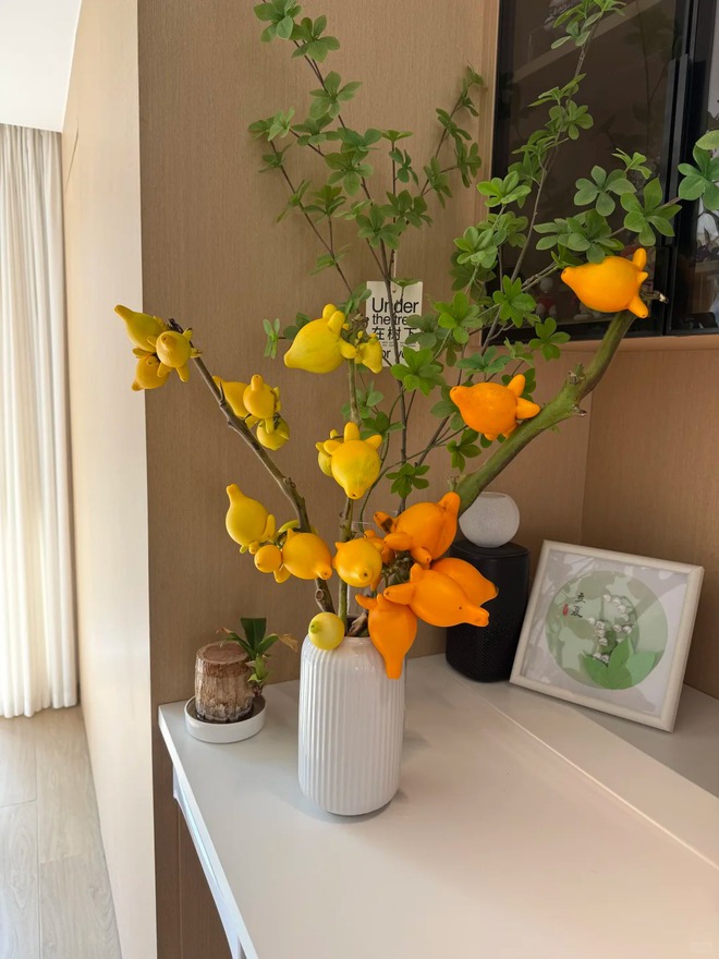 "Cây tài lộc" ít người biết: Quả vàng óng 5 múi, chưng Tết 2026 mang ý nghĩa "ngũ phúc lâm môn", tiền vào như nước- Ảnh 30. "Cây tài lộc" ít người biết: Quả vàng óng 5 múi, chưng Tết 2026 mang ý nghĩa "ngũ phúc lâm môn", tiền vào như nước- Ảnh 30.