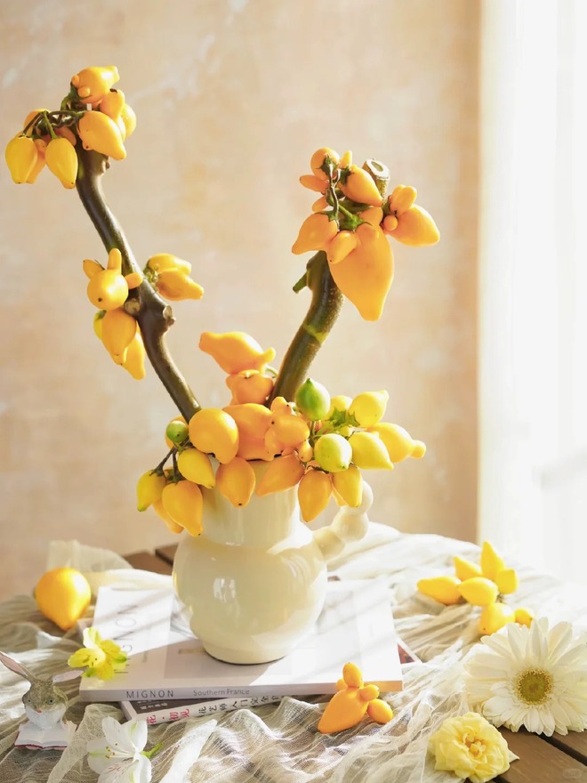 "Cây tài lộc" ít người biết: Quả vàng óng 5 múi, chưng Tết 2026 mang ý nghĩa "ngũ phúc lâm môn", tiền vào như nước- Ảnh 12. "Cây tài lộc" ít người biết: Quả vàng óng 5 múi, chưng Tết 2026 mang ý nghĩa "ngũ phúc lâm môn", tiền vào như nước- Ảnh 12.