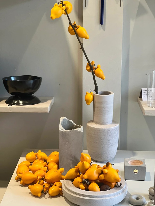 "Cây tài lộc" ít người biết: Quả vàng óng 5 múi, chưng Tết 2026 mang ý nghĩa "ngũ phúc lâm môn", tiền vào như nước- Ảnh 32. "Cây tài lộc" ít người biết: Quả vàng óng 5 múi, chưng Tết 2026 mang ý nghĩa "ngũ phúc lâm môn", tiền vào như nước- Ảnh 32.