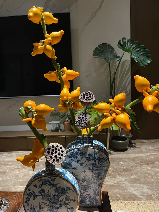 "Cây tài lộc" ít người biết: Quả vàng óng 5 múi, chưng Tết 2026 mang ý nghĩa "ngũ phúc lâm môn", tiền vào như nước- Ảnh 43. "Cây tài lộc" ít người biết: Quả vàng óng 5 múi, chưng Tết 2026 mang ý nghĩa "ngũ phúc lâm môn", tiền vào như nước- Ảnh 43.