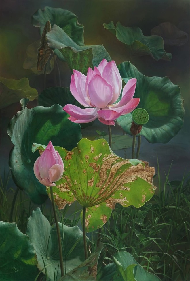 Bức tranh 2 quả thanh long trông thật đến mức "có thể bổ ra ăn được luôn" gây bão mạng: Hé lộ về tác giả- Ảnh 8.