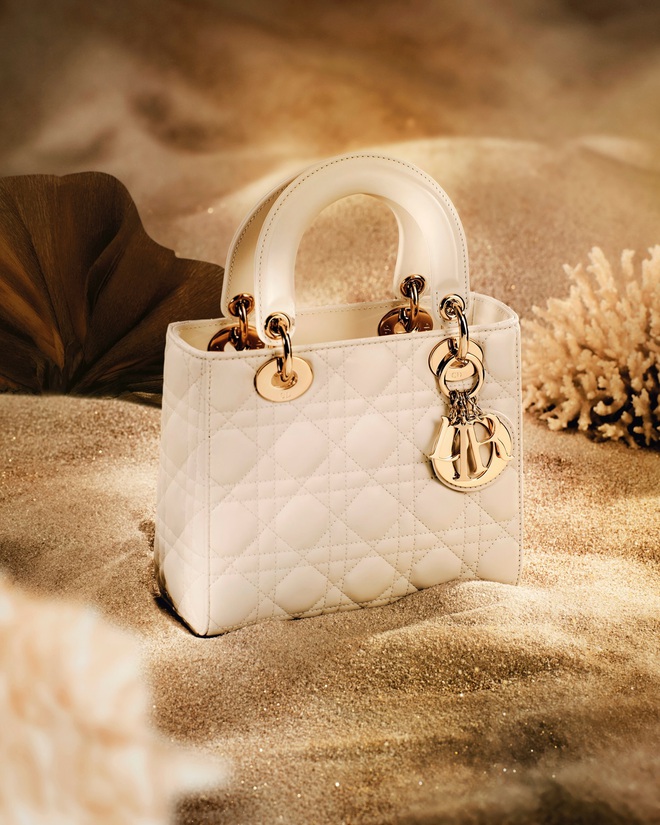 Vì sao túi Dior là biểu tượng của nước Pháp?- Ảnh 5. Vì sao túi Dior là biểu tượng của nước Pháp?- Ảnh 5.
