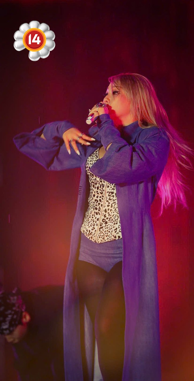 CL (2NE1) đến Việt Nam biểu diễn cùng bạn trai bí mật?- Ảnh 10.