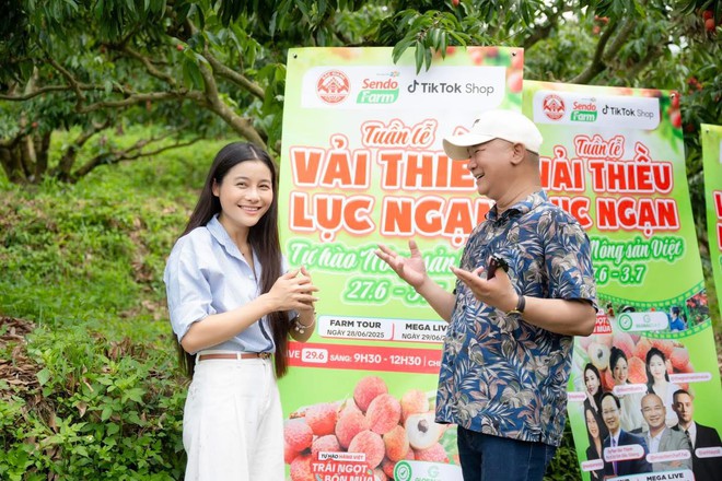 Khi dàn KOL livestream bán vải ngay tại vườn Lục Ngạn: Ngọc Kem, Út Lanh.... nói về những kỷ niệm khó quên- Ảnh 11.