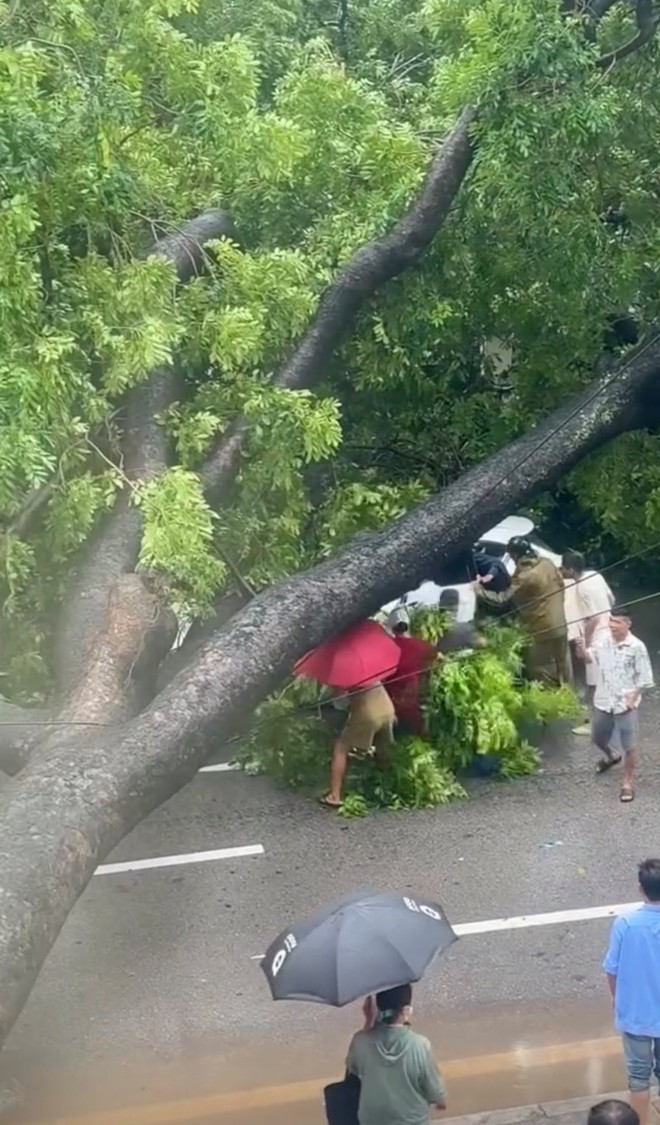 Hà Nội đang ngập khủng khiếp, cây gãy đổ chắn ngang đường- Ảnh 26.