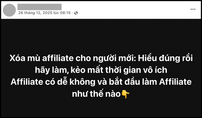 Kiếm 517 triệu/tháng mà chẳng phải làm việc? Cách kiếm tiền đang hot ở Việt Nam, chuyên gia cảnh báo- Ảnh 4. Kiếm 517 triệu/tháng mà chẳng phải làm việc? Cách kiếm tiền đang hot ở Việt Nam, chuyên gia cảnh báo- Ảnh 4.