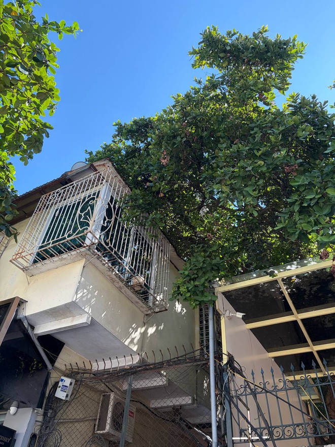 H&agrave; Nội hạ gần 10 độ chỉ sau một đ&ecirc;m, d&acirc;n t&igrave;nh đồng loạt rủ nhau &ldquo;xin nghỉ l&agrave;m để đi lượn phố&rdquo; - Ảnh 26.