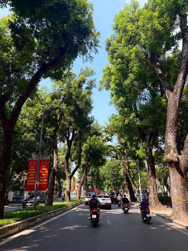 H&agrave; Nội hạ gần 10 độ chỉ sau một đ&ecirc;m, d&acirc;n t&igrave;nh đồng loạt rủ nhau &ldquo;xin nghỉ l&agrave;m để đi lượn phố&rdquo; - Ảnh 13.