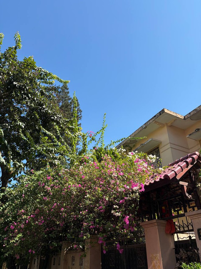 H&agrave; Nội hạ gần 10 độ chỉ sau một đ&ecirc;m, d&acirc;n t&igrave;nh đồng loạt rủ nhau &ldquo;xin nghỉ l&agrave;m để đi lượn phố&rdquo; - Ảnh 3.