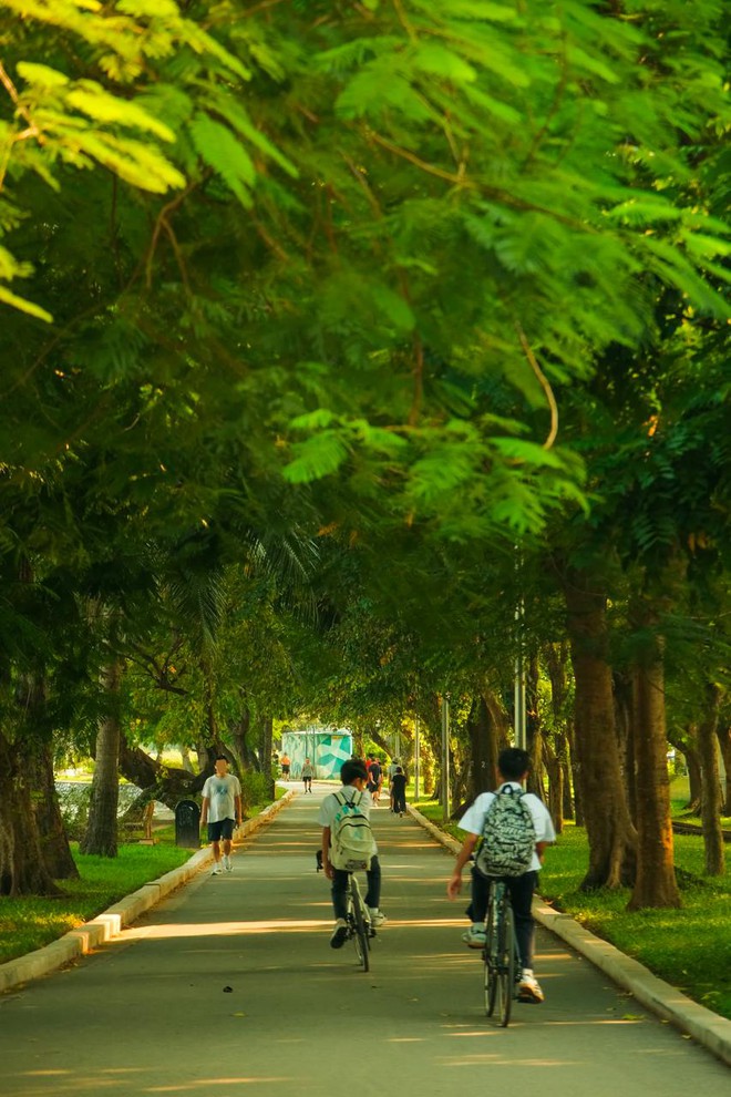 H&agrave; Nội hạ gần 10 độ chỉ sau một đ&ecirc;m, d&acirc;n t&igrave;nh đồng loạt rủ nhau &ldquo;xin nghỉ l&agrave;m để đi lượn phố&rdquo; - Ảnh 64.