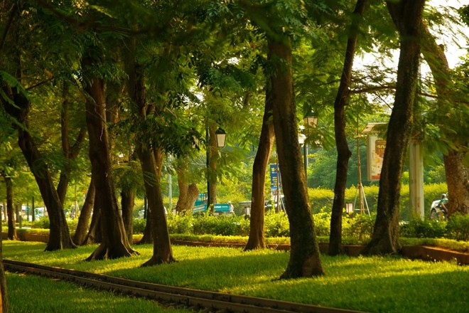 H&agrave; Nội hạ gần 10 độ chỉ sau một đ&ecirc;m, d&acirc;n t&igrave;nh đồng loạt rủ nhau &ldquo;xin nghỉ l&agrave;m để đi lượn phố&rdquo; - Ảnh 65.