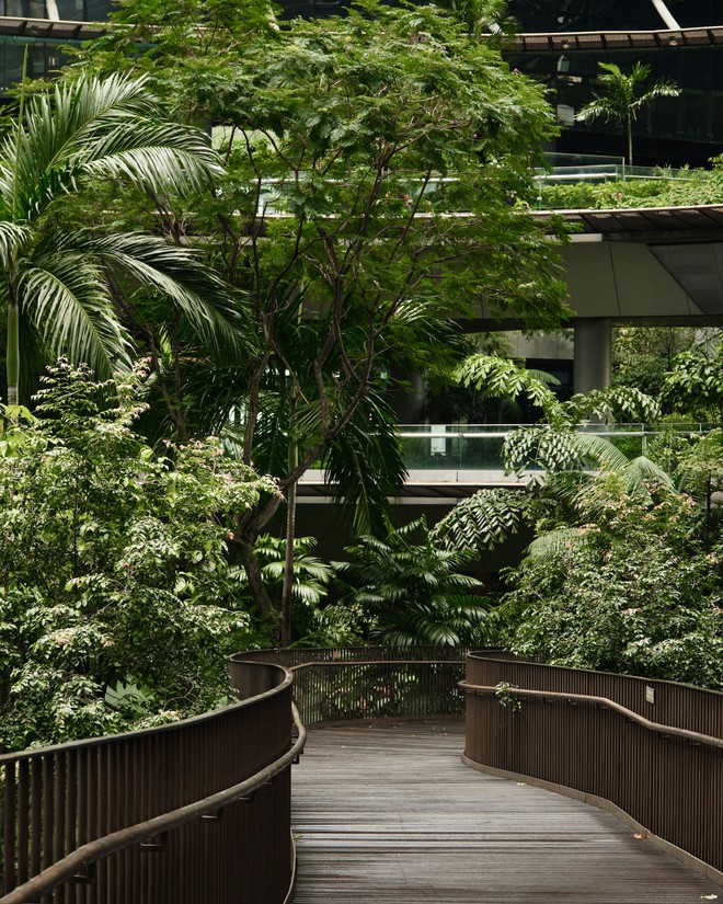 Singapore đ&atilde; thay đổi thế n&agrave;o để một người quay lại lần thứ 10 vẫn c&oacute; điều bất ngờ? - Ảnh 6.