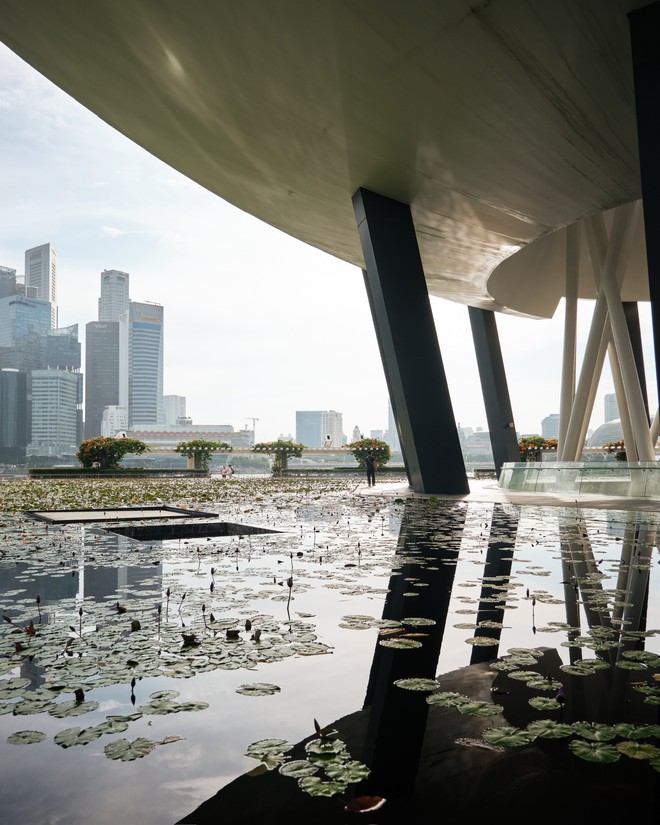 Singapore đ&atilde; thay đổi thế n&agrave;o để một người quay lại lần thứ 10 vẫn c&oacute; điều bất ngờ? - Ảnh 37.