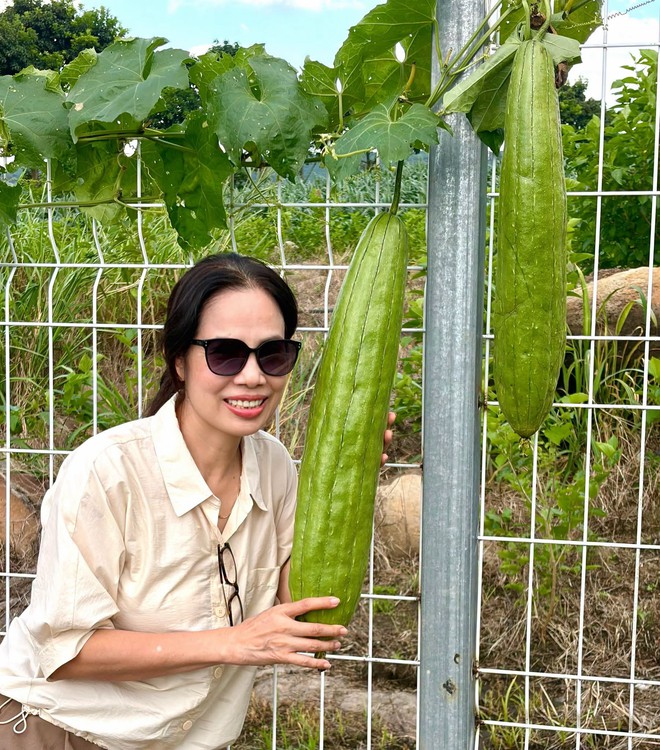 Mẹ Á hậu 2 Miss Universe Vietnam 2026 có khu vườn gần 1.000m² ở Lâm Đồng, trồng đủ rau trái, sống chill - Ảnh 5.