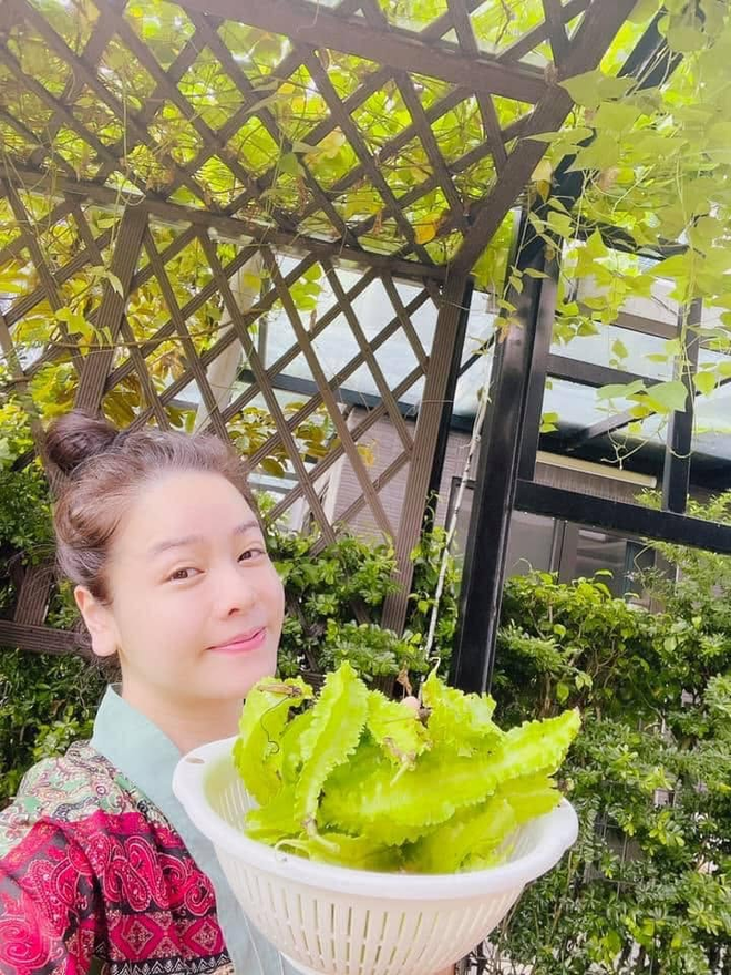 Cơm nhà Nhật Kim Anh - Ảnh 19.