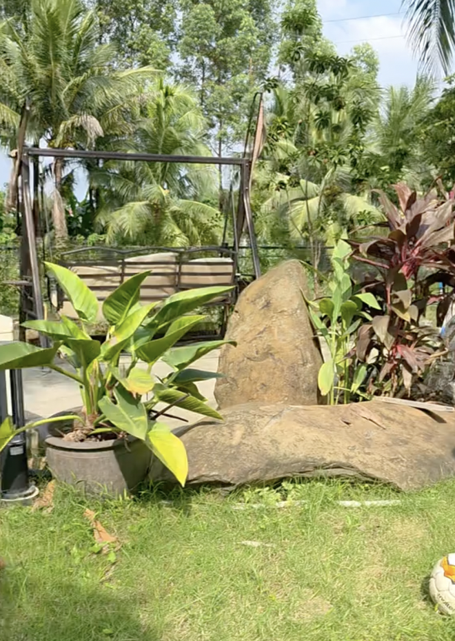 Căn nh&agrave; ngoại &ocirc; xanh mướt, ngập tr&agrave;n hoa v&agrave; c&acirc;y ăn quả,.. của Cục trưởng Xu&acirc;n Bắc - Ảnh 3.