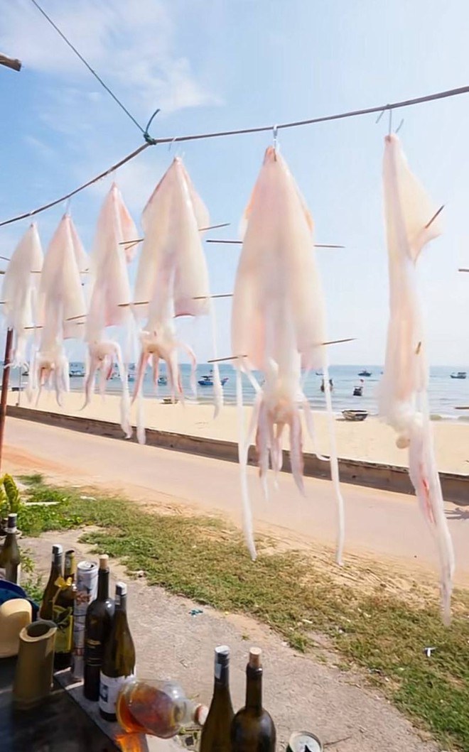 Việt Nam c&oacute; l&agrave;ng ch&agrave;i b&aacute;n loại mực chết l&agrave; mất gi&aacute;, nửa triệu đồng một kg m&agrave; người d&acirc;n vẫn v&ocirc; tư ăn với m&igrave; t&ocirc;m - Ảnh 11.
