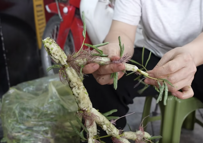 Qu&aacute;n canh b&uacute;n cua gia truyền ở phố cổ H&agrave; Nội, sợi b&uacute;n to gấp v&agrave;i lần b&igrave;nh thường, d&ugrave;ng 5 kg cua đồng cho nồi nước d&ugrave;ng - Ảnh 15.