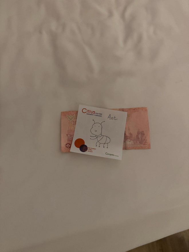 Kh&aacute;ch T&acirc;y chi 100 ngh&igrave;n thử th&aacute;ch nh&acirc;n vi&ecirc;n kh&aacute;ch sạn, sững sờ nhận về nguy&ecirc;n con c&aacute; sấu khổng lồ- Ảnh 6.