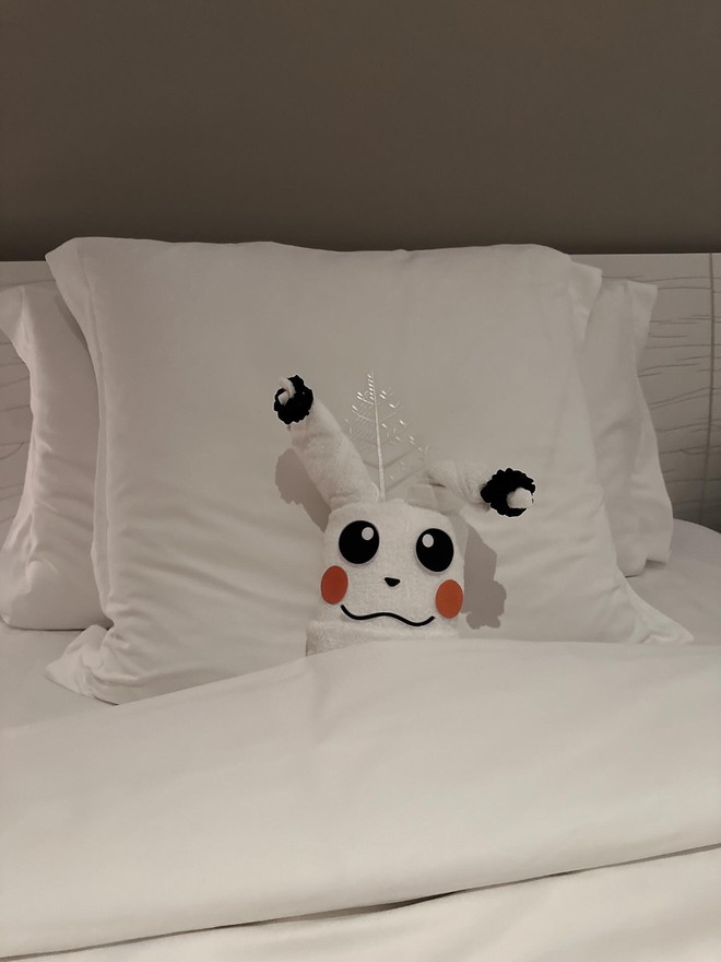 Kh&aacute;ch T&acirc;y chi 100 ngh&igrave;n thử th&aacute;ch nh&acirc;n vi&ecirc;n kh&aacute;ch sạn, sững sờ nhận về nguy&ecirc;n con c&aacute; sấu khổng lồ- Ảnh 2.