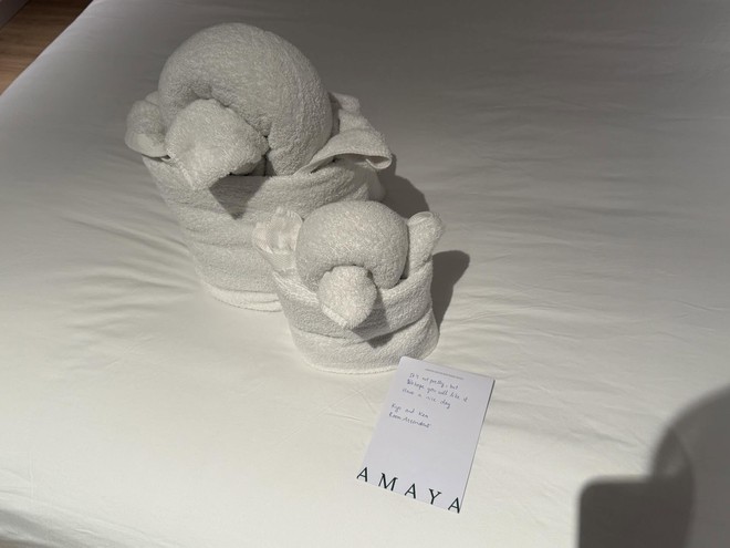 Kh&aacute;ch T&acirc;y chi 100 ngh&igrave;n thử th&aacute;ch nh&acirc;n vi&ecirc;n kh&aacute;ch sạn, sững sờ nhận về nguy&ecirc;n con c&aacute; sấu khổng lồ- Ảnh 10.