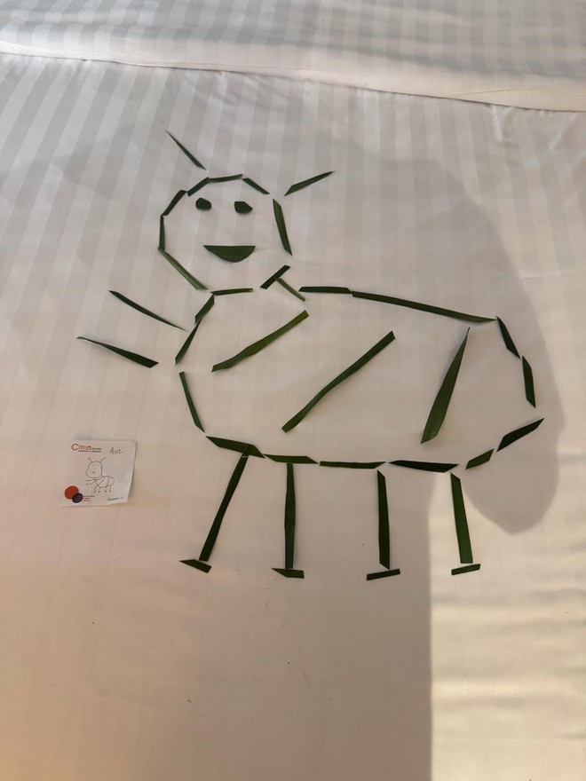 Kh&aacute;ch T&acirc;y chi 100 ngh&igrave;n thử th&aacute;ch nh&acirc;n vi&ecirc;n kh&aacute;ch sạn, sững sờ nhận về nguy&ecirc;n con c&aacute; sấu khổng lồ- Ảnh 7.