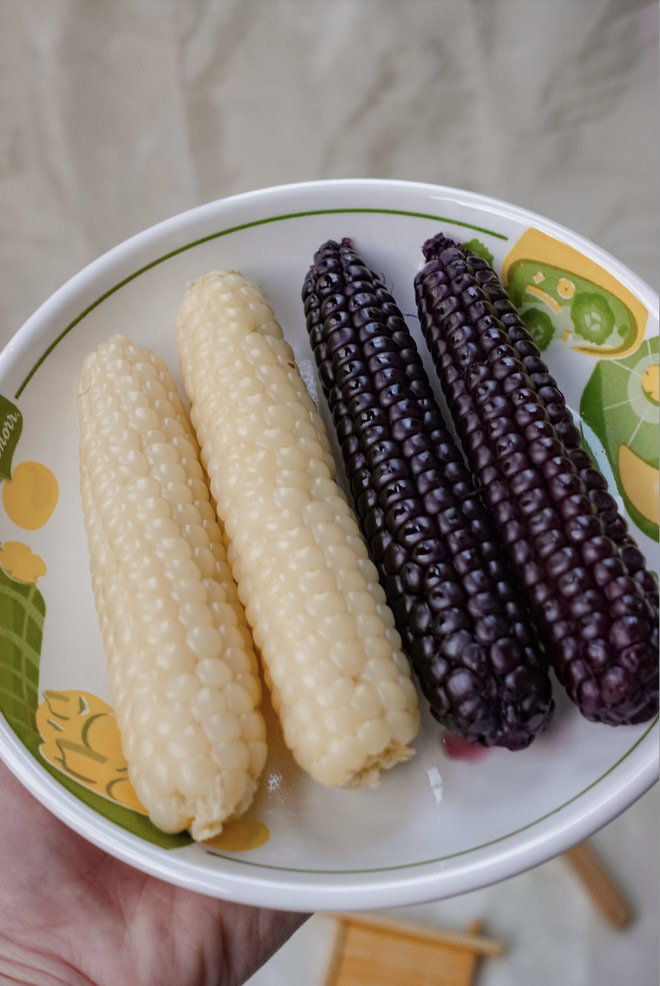 Loại ng&ocirc; nhỏ như ng&oacute;n tay nhưng gi&aacute; gấp 10 lần ng&ocirc; thường: Ng&ocirc; mochi đang hot c&oacute; thật sự đ&aacute;ng tiền?- Ảnh 13.