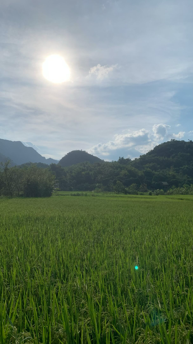 Khách Tây đang đi du lịch bỗng được "gả vợ" ở Việt Nam, netizen: Cứ đà này thì mỗi tỉnh một "cô vợ"!- Ảnh 2. Khách Tây đang đi du lịch bỗng được "gả vợ" ở Việt Nam, netizen: Cứ đà này thì mỗi tỉnh một "cô vợ"!- Ảnh 2.