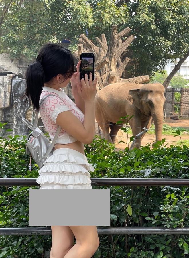 Phản cảm hình ảnh cô gái mặc váy ngắn đến lộ cả vòng 3 để đi Thảo Cầm Viên- Ảnh 1. Phản cảm hình ảnh cô gái mặc váy ngắn đến lộ cả vòng 3 để đi Thảo Cầm Viên- Ảnh 1.