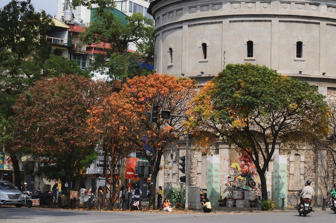 Ăn chơi cho hết tháng Giêng, mùa săn hoa đã đến khiến cả Hà Nội đứng ngồi không yên- Ảnh 4. Ăn chơi cho hết tháng Giêng, mùa săn hoa đã đến khiến cả Hà Nội đứng ngồi không yên- Ảnh 4.