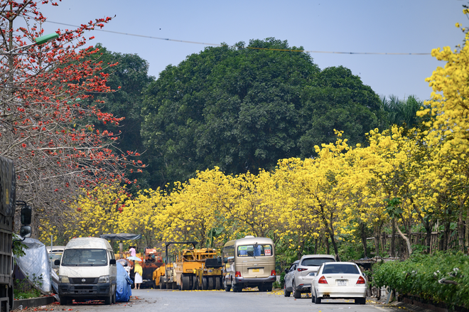 Ăn chơi cho hết tháng Giêng, mùa săn hoa đã đến khiến cả Hà Nội đứng ngồi không yên- Ảnh 15. Ăn chơi cho hết tháng Giêng, mùa săn hoa đã đến khiến cả Hà Nội đứng ngồi không yên- Ảnh 15.