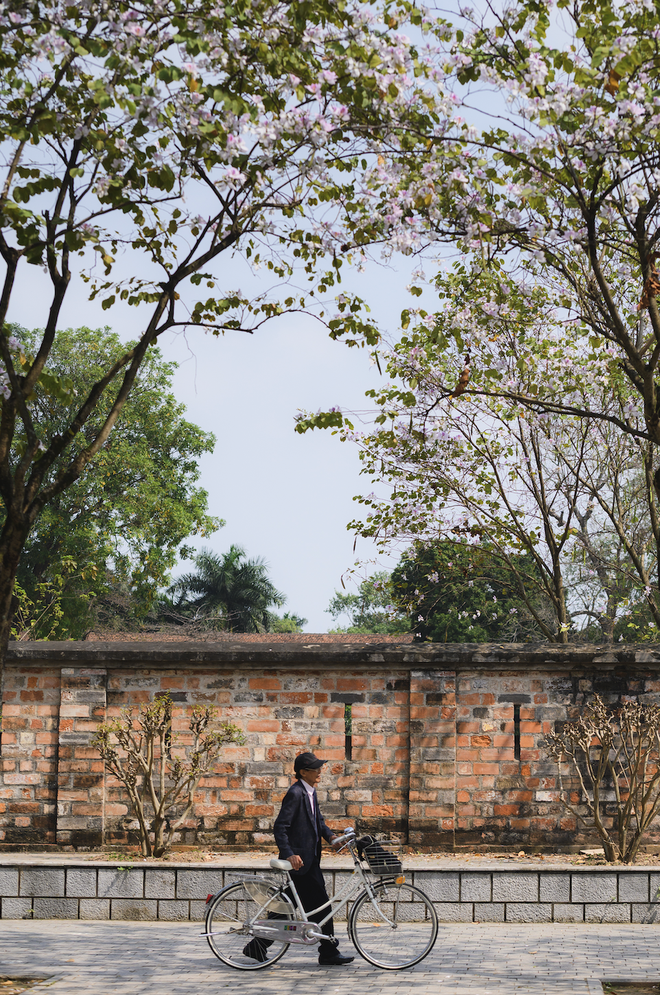 Ăn chơi cho hết tháng Giêng, mùa săn hoa đã đến khiến cả Hà Nội đứng ngồi không yên- Ảnh 8. Ăn chơi cho hết tháng Giêng, mùa săn hoa đã đến khiến cả Hà Nội đứng ngồi không yên- Ảnh 8.