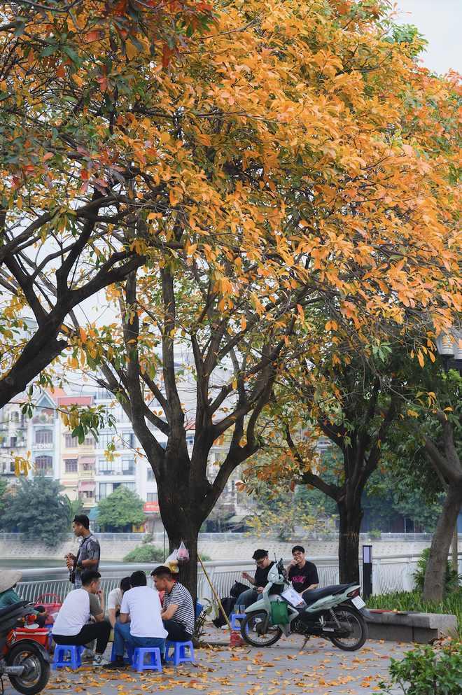 Ăn chơi cho hết tháng Giêng, mùa săn hoa đã đến khiến cả Hà Nội đứng ngồi không yên- Ảnh 18. Ăn chơi cho hết tháng Giêng, mùa săn hoa đã đến khiến cả Hà Nội đứng ngồi không yên- Ảnh 18.