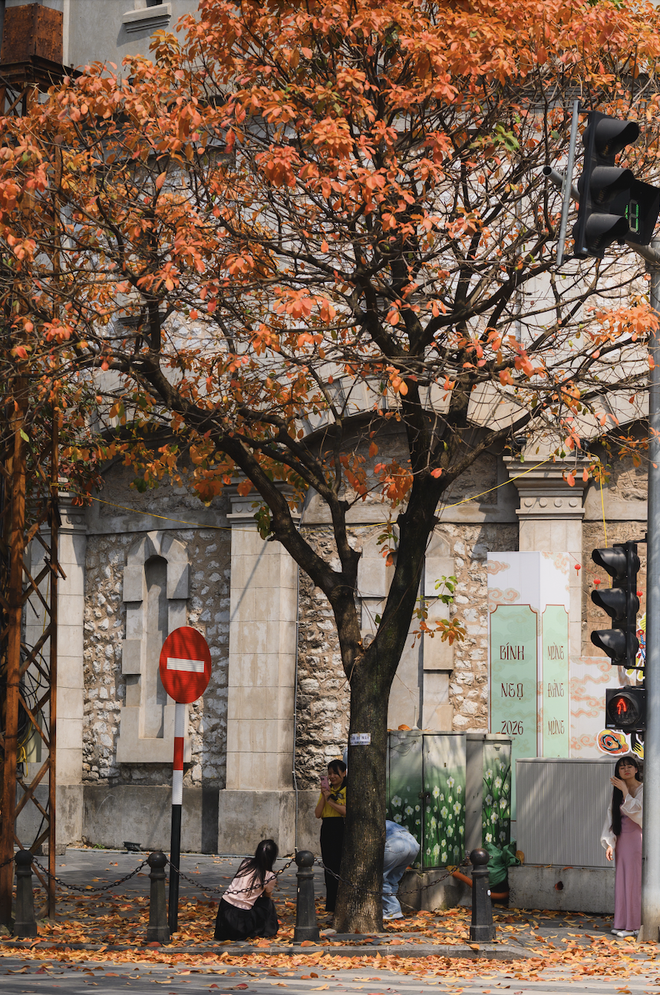 Ăn chơi cho hết tháng Giêng, mùa săn hoa đã đến khiến cả Hà Nội đứng ngồi không yên- Ảnh 19. Ăn chơi cho hết tháng Giêng, mùa săn hoa đã đến khiến cả Hà Nội đứng ngồi không yên- Ảnh 19.