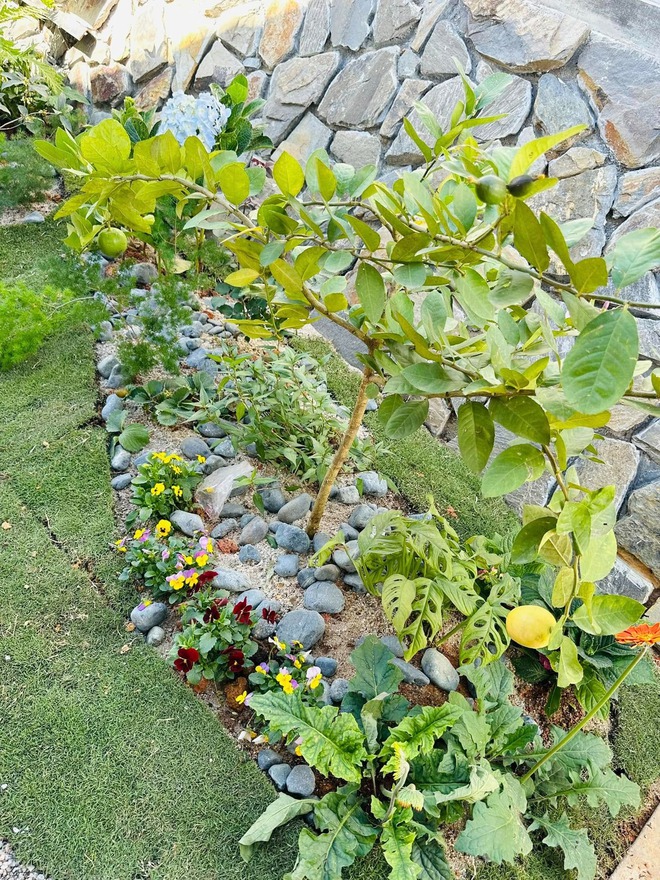 Biệt thự nghỉ dưỡng đẹp như mộng của "MC gi&agrave;u nhất Việt Nam"- Ảnh 16.