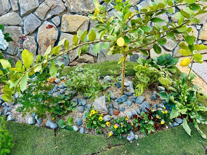 Biệt thự nghỉ dưỡng đẹp như mộng của "MC gi&agrave;u nhất Việt Nam"- Ảnh 17.