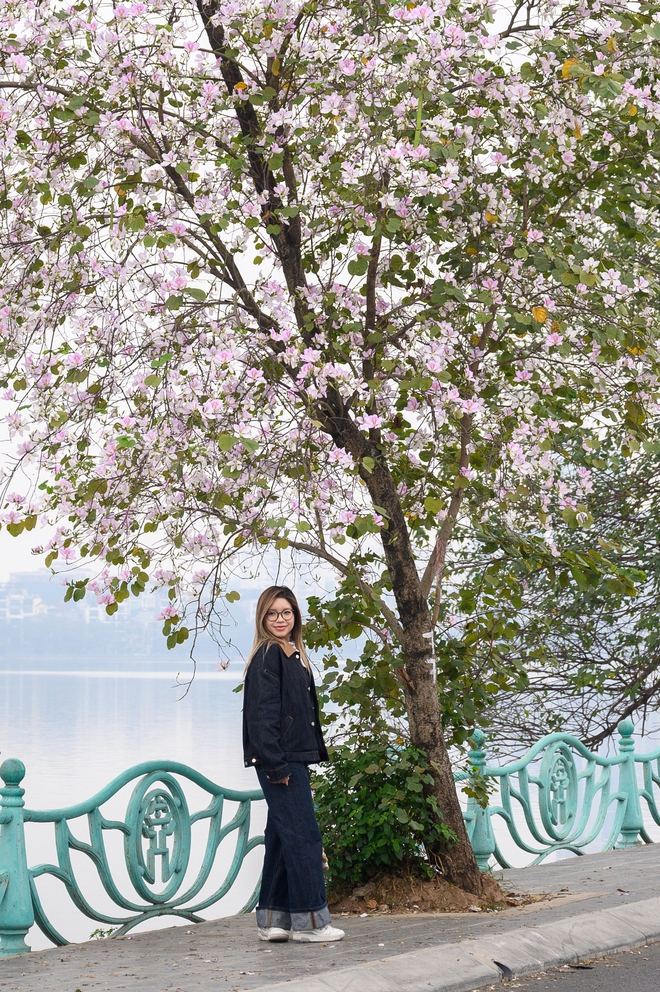 Cả H&agrave; Nội ph&aacute;t sốt v&igrave; những c&acirc;y hoa n&agrave;y: Chỗ đẹp như ng&ocirc;n t&igrave;nh, nơi đ&atilde; x&aacute;c xơ - đi nhầm ph&iacute; c&ocirc;ng v&ocirc; &iacute;ch!- Ảnh 13.