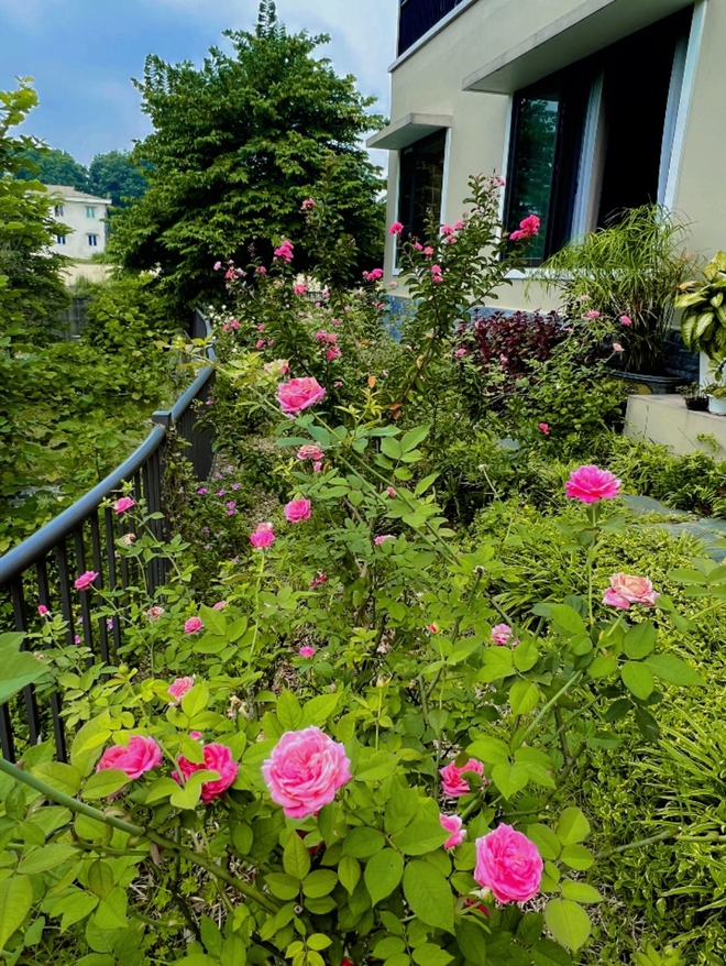 Cơ ngơi như nghỉ dưỡng tại gia của con g&aacute;i nh&agrave; ngoại giao Đặng Nghi&ecirc;m Ho&agrave;nh, đang l&agrave;m sếp ở VTV - Ảnh 6.