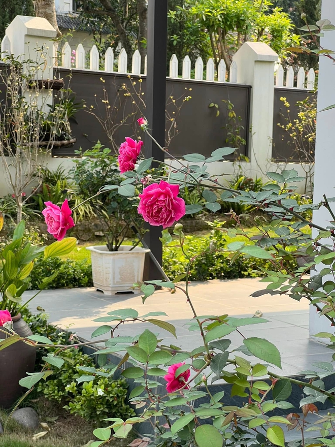 Cơ ngơi như nghỉ dưỡng tại gia của con g&aacute;i nh&agrave; ngoại giao Đặng Nghi&ecirc;m Ho&agrave;nh, đang l&agrave;m sếp ở VTV - Ảnh 13.