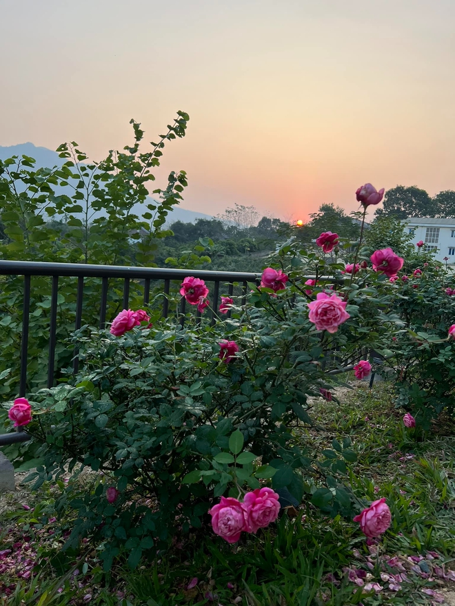 Cơ ngơi như nghỉ dưỡng tại gia của con g&aacute;i nh&agrave; ngoại giao Đặng Nghi&ecirc;m Ho&agrave;nh, đang l&agrave;m sếp ở VTV - Ảnh 17.