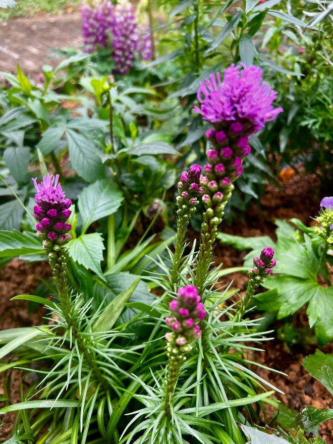 Cơ ngơi như nghỉ dưỡng tại gia của con g&aacute;i nh&agrave; ngoại giao Đặng Nghi&ecirc;m Ho&agrave;nh, đang l&agrave;m sếp ở VTV - Ảnh 11.