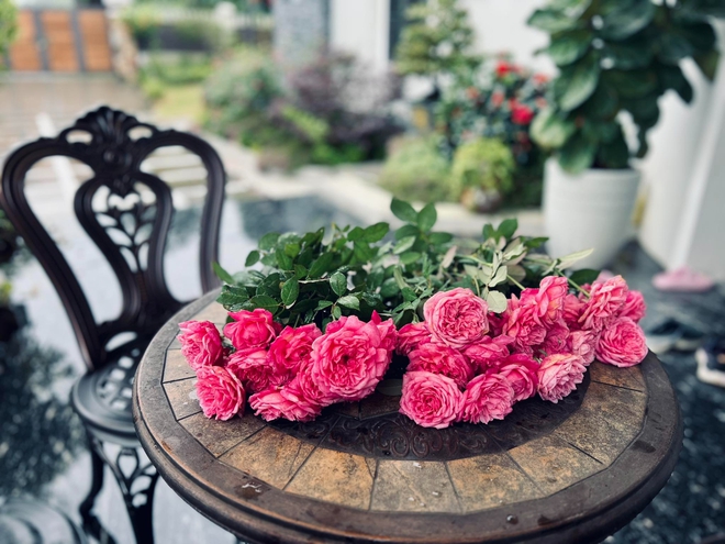 Cơ ngơi như nghỉ dưỡng tại gia của con g&aacute;i nh&agrave; ngoại giao Đặng Nghi&ecirc;m Ho&agrave;nh, đang l&agrave;m sếp ở VTV - Ảnh 15.